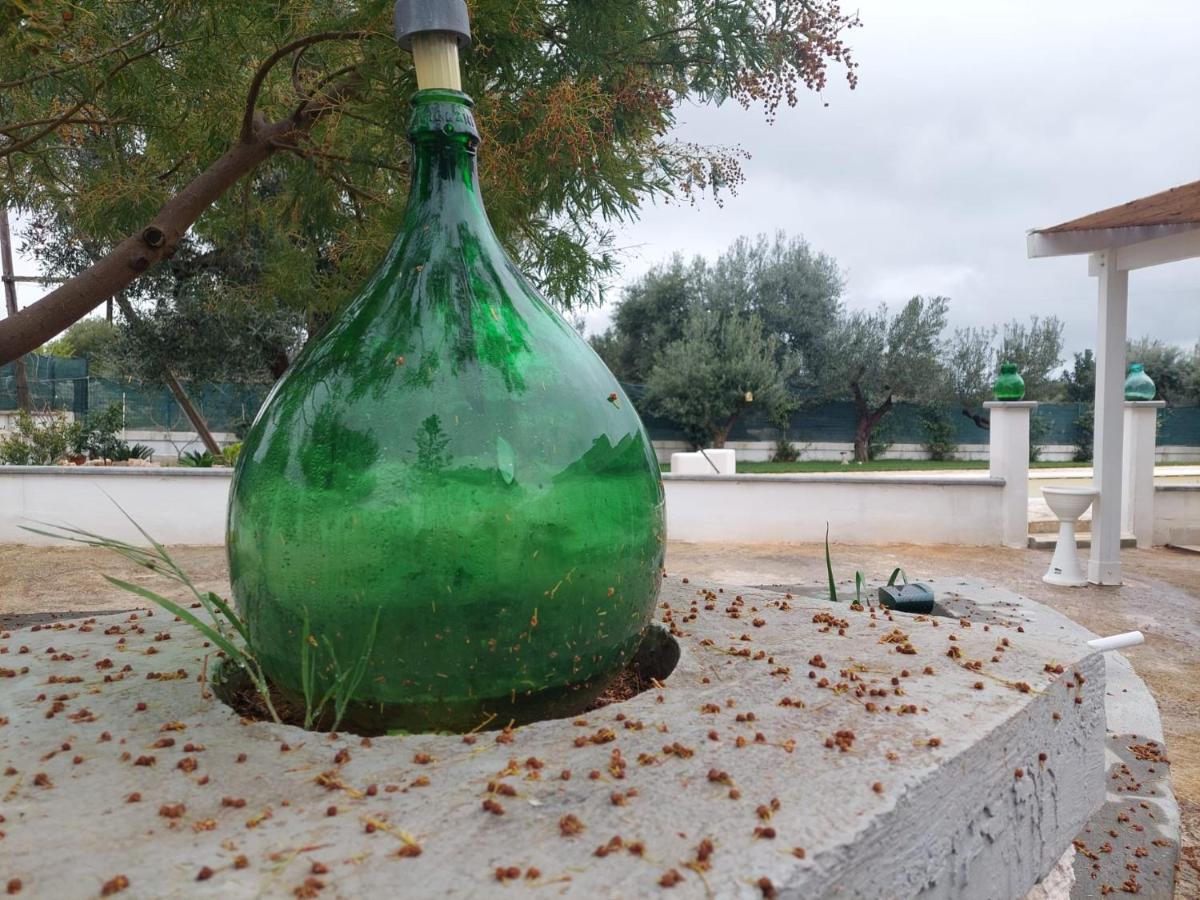 Il Vecchio Carrubo - Villa Con Piscina A Sfioro Macchia di Monte Eksteriør billede