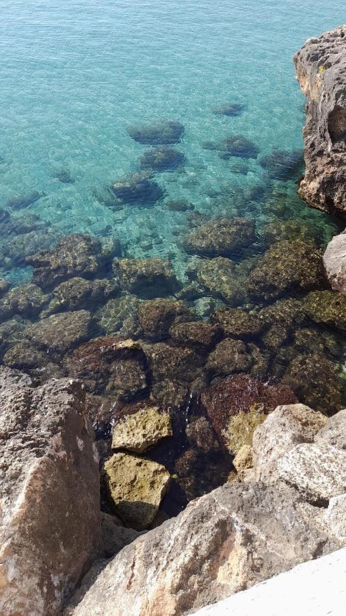 Il Vecchio Carrubo - Villa Con Piscina A Sfioro Macchia di Monte Eksteriør billede